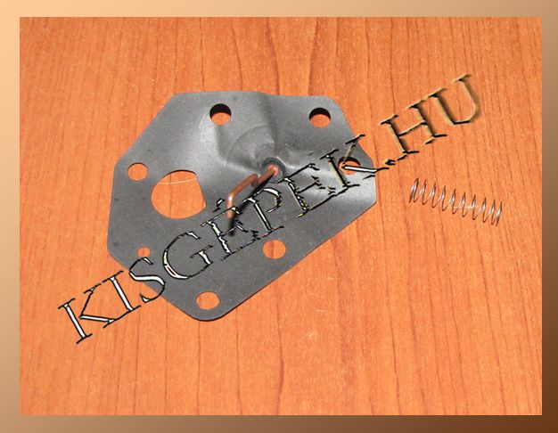 Membrán Briggs 3,5 HP