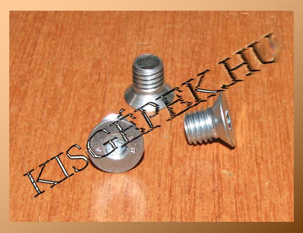 Süllyesztett fejű csavar AL-KO,  M8X10 TORX T30 