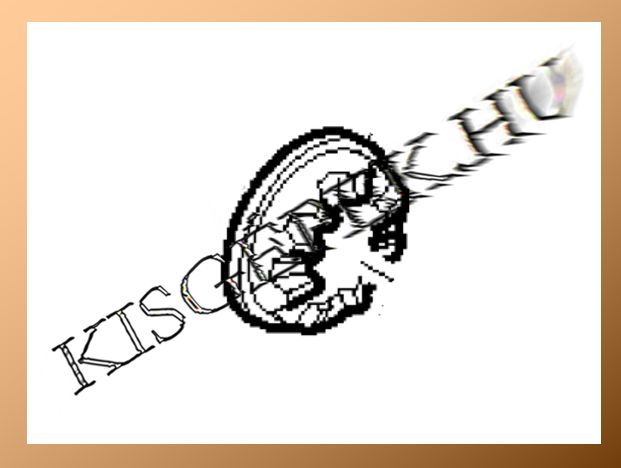 Tengelykapcsoló Makita 6820V