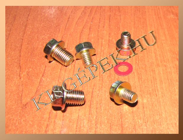 Karburátor úszóház csavar Honda GX 240, 270, 340, 390