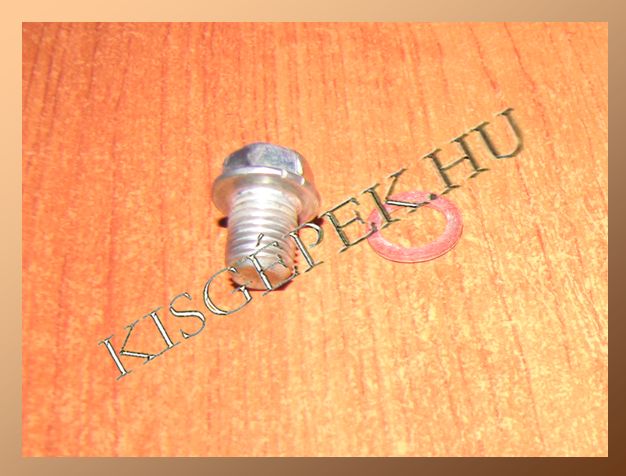 Karburátor úszóház csavar Honda GCV 160