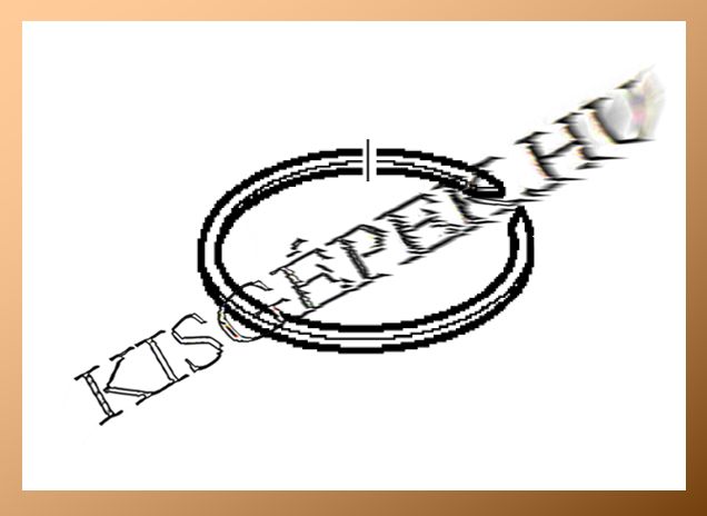 Zárógyűrű Makita BO6040