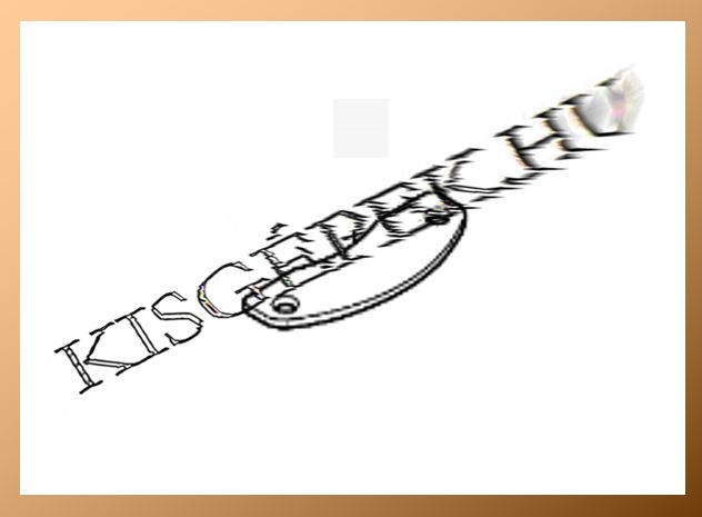 Hajtómű lemez Makita JR3051T