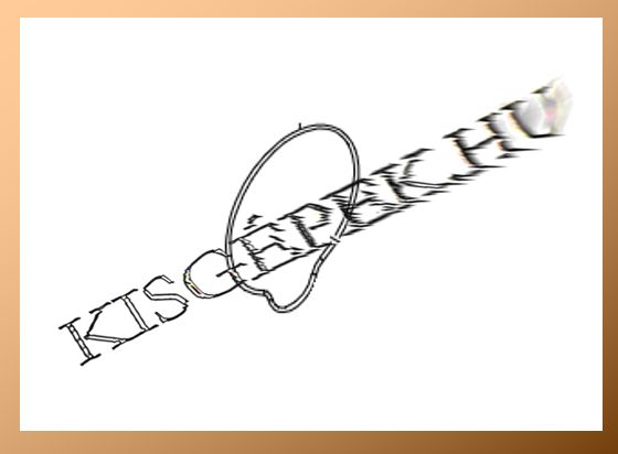 Oaljtömítés Makita DFS452