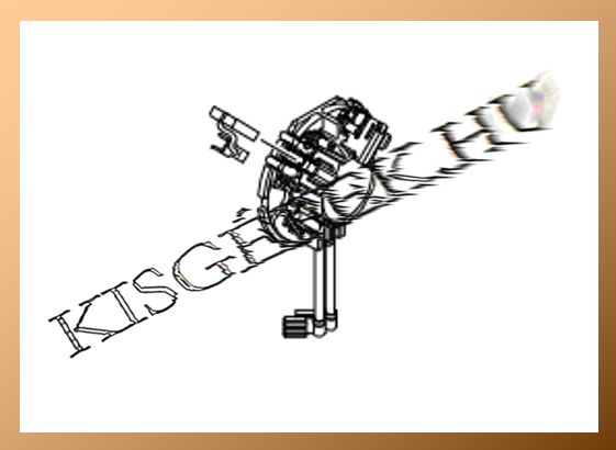 Szénkefe tartó Makita DHP482