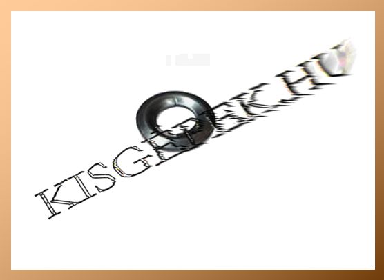 Vezető tárcsa Makita DHR