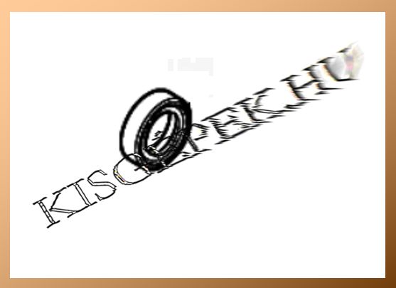 O gyűrű Makita DHR182; 10