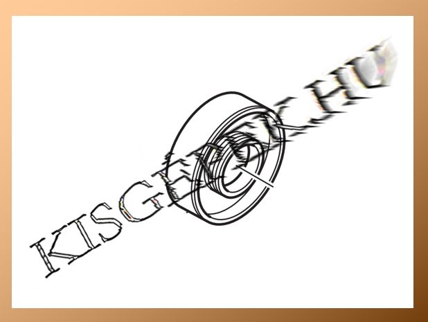 Olajtömítés Makita DHR, HM, 15