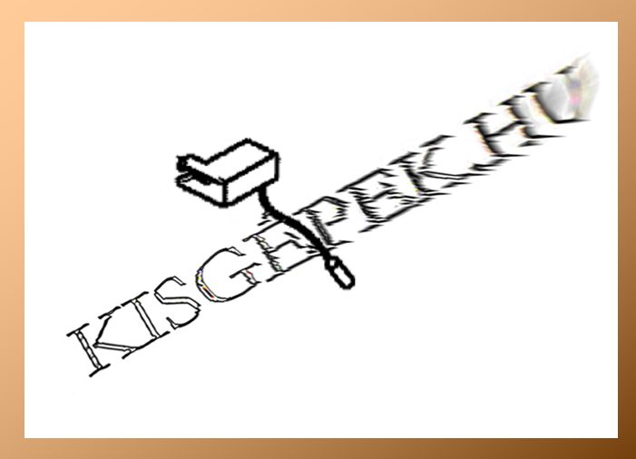 Szénkefe tartó Makita HP2051