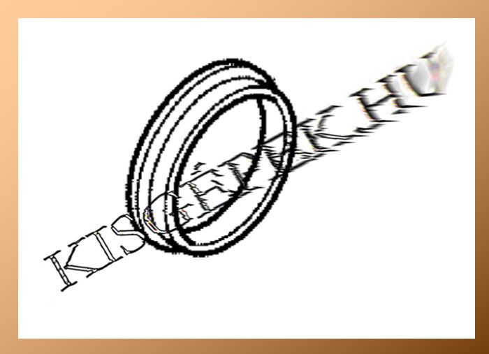 Rögzítő gyűrű Makita HM1202