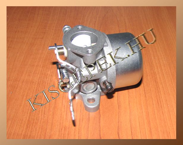 Karburátor Tecumseh OH 195, OHH 50